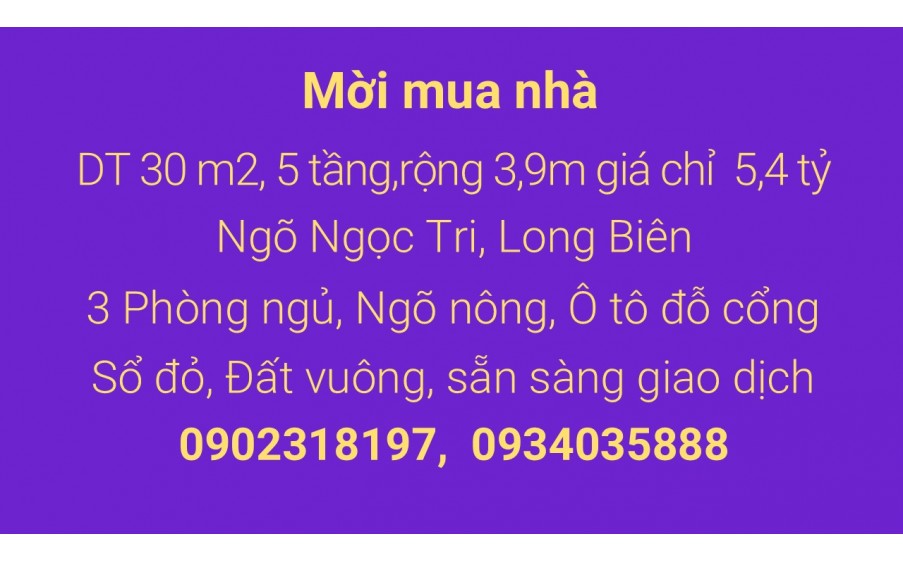 Không mua ngôi nhà này, bạn sẽ hối tiếc mãi mãi